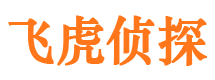 集贤婚外情调查取证